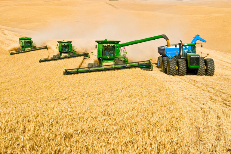 What Is Commercial Grain Farming